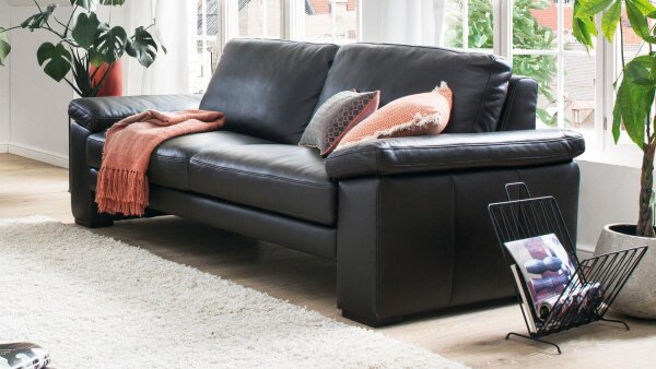 Sofa MAGUS System 3-Sitzer Couch Leder marron 205 cm