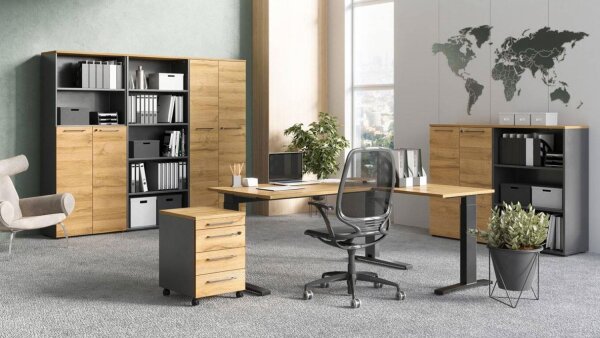 Büro Set 7-teilig AGENDA HOME Arbeitszimmer eiche graphit