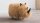 Kinderhocker NASHORN beige fluffig Cartoon Tierhocker