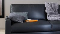 Hülsta Sofa von Rolf Benz 450 2-Sitzer Echtleder schwarz  208 cm