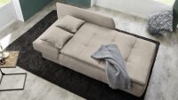 Recamiere ROMAN Schlafsofa Sofa in beige mit Tonnentaschenfederkern