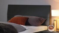 Futonbett FLEXX Bett grau-metallic mit Schubkasten 90x200 cm